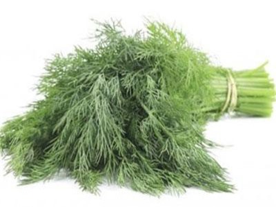 7 lợi ích sức khỏe của rau thì là