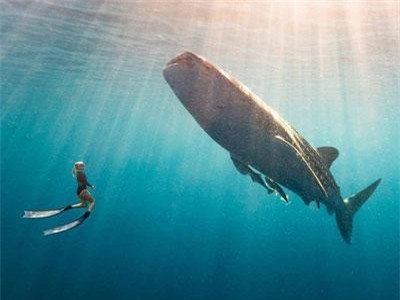 15 điểm đến tuyệt đẹp không dành cho người yếu tim