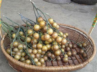 Tác dụng chữa bệnh của quả hồng bì