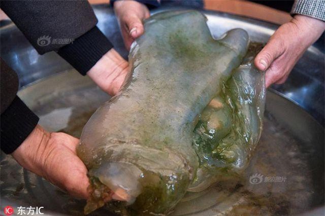 Trung Quốc: Phát hiện “khối thịt bầy nhầy”, không ngờ là vật quý hơn 35 tỷ đồng?