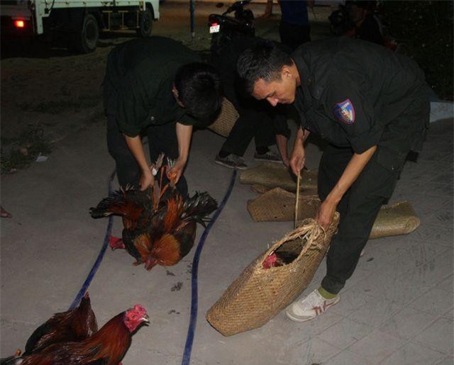 Đồng Nai: Triệt phá sòng bạc giữa rừng tràm, thu gần nửa tỷ đồng trên chiếu bạc