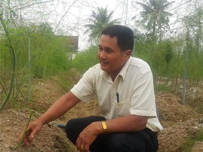 Thanh Hóa: Rau hay bị ế chuyển trồng măng tây, hái bao nhiêu lái khuân hết