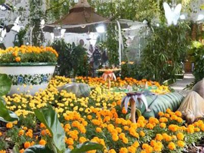 Độc đáo vườn bướm ở Dubai