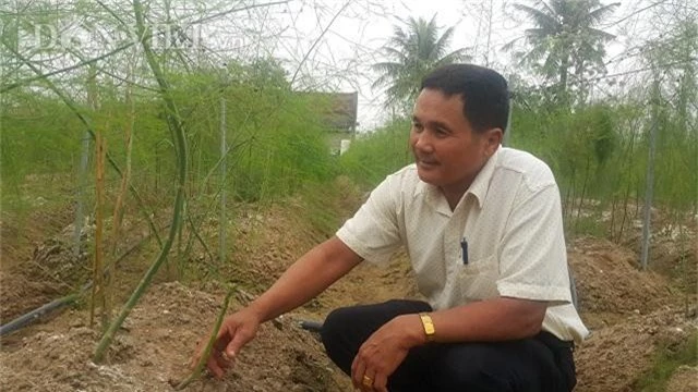 rau hay bi e chuyen trong mang tay, hai bao nhieu lai khuan het hinh anh 3