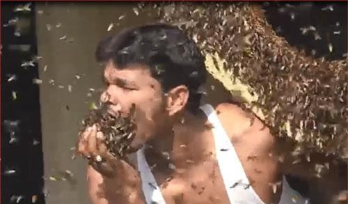 CLIP: "Choáng" người đàn ông bỏ cả đàn ong sống vào miệng