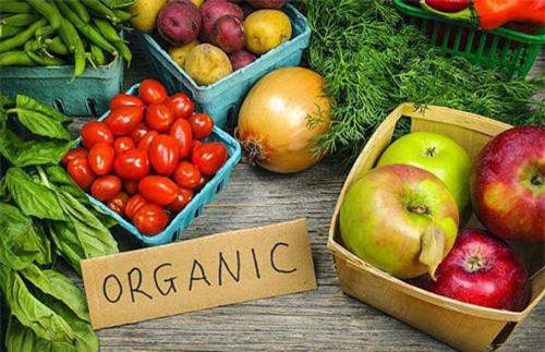 Làn sóng cải cách nông nghiệp phát triển mạnh nhờ CPTPP