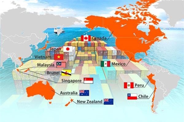 Xuất khẩu sang thị trường các nước CPTPP: Rào cản với doanh nghiệp Việt