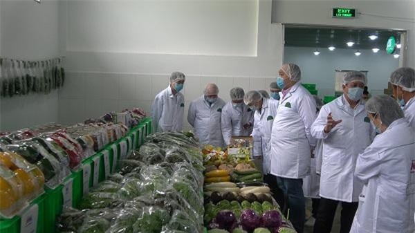 Các nhà nhập khẩu Singapore để mắt đặc biệt tới hơn 18 loại nông sản ở Lâm Đồng