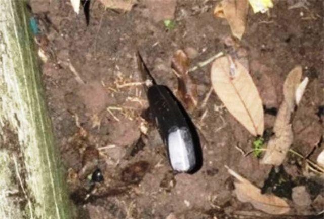 Nam Định: Cãi nhau, anh trai nghi cầm dao đâm tử vong em ruột