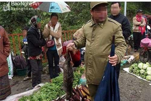 Làm rõ câu chuyện khách du lịch bị “gài bẫy” khi mua thịt thú rừng ở Sa Pa