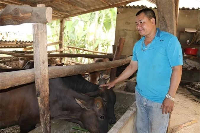 trong co nuoi con uong nuoc la, moi nam kiem doi tram trieu dong hinh anh 1