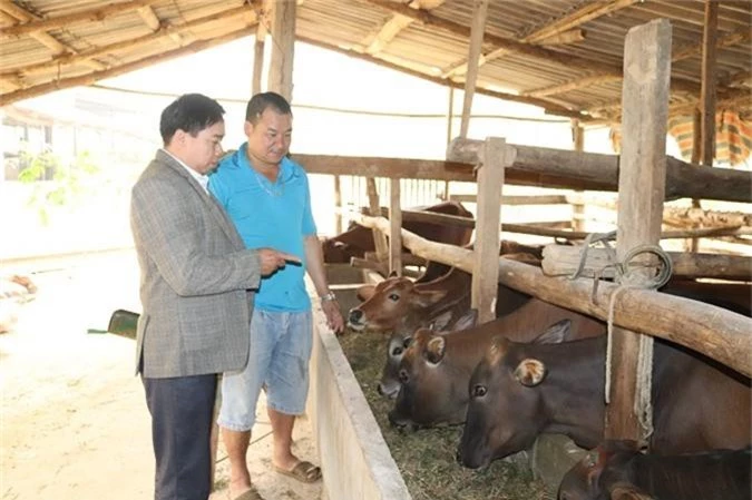 trong co nuoi con uong nuoc la, moi nam kiem doi tram trieu dong hinh anh 2