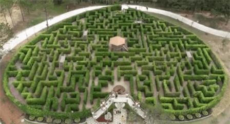 Clip: Lạc vào “Mê cung tình yêu” ở Đà Lạt