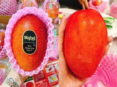 Xoài ruby Nhật giá 1,3 triệu/quả, nhà giàu Việt 'đấu giá' ăn chơi