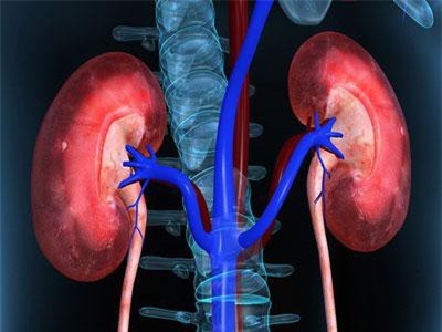 Thế giới có hơn 2,4 triệu ca tử vong mỗi năm vì bệnh thận, nếu thuộc 1 trong 4 đối tượng sau thì nên đi khám ngay