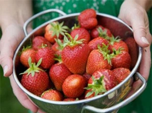 CLIP: Công dụng không ngờ của quả dâu tây