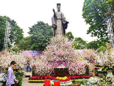 Ngắm Hoa anh đào Nhật Bản khoe sắc giữa lòng Hà Nội