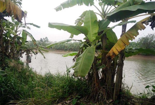 Vụ 3 thi thể trôi sông: Ra hiện trường, bố bàng hoàng phát hiện thi thể con trai