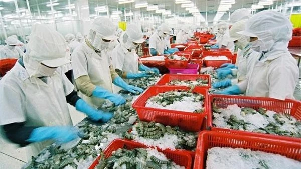 Thủy sản Việt Nam giàu tiềm năng xuất khẩu vào thị trường Trung Quốc. (Ảnh TL)