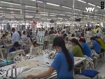 Việt Nam chỉ khai thác được 1,7% tổng kim ngạch nhập khẩu CPTPP