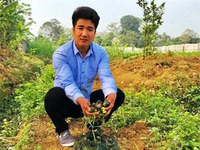 Thanh Hóa: Chàng trai 9X nuôi ốc nhồi kiếm hàng trăm triệu đồng mỗi năm