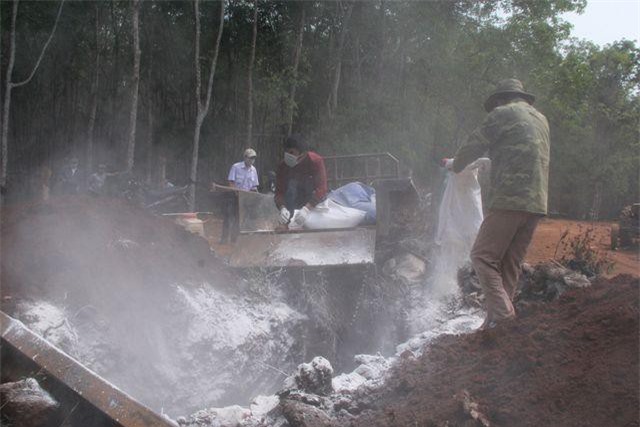 Tỉnh Đắk Lắk công bố dịch lở mồm long móng trên đàn heo