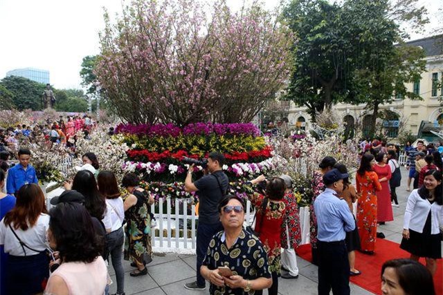 CLIP: Ngắm hàng vạn cành hoa anh đào khoe sắc bên hồ Gươm