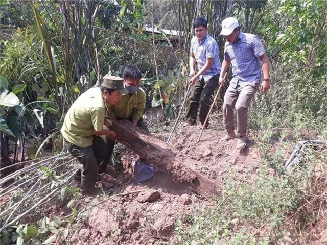 Phát hiện 3 hầm giấu gỗ nghi là tang vật vụ phá rừng ở Phong Nha - Kẻ Bàng - 2