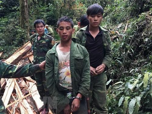 Nghệ An: Bắt giữ hai đối tượng khai thác lâm sản trái phép