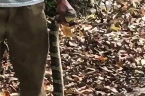 CLIP HOT (31/3): Những trò đùa công nghệ ngày Cá tháng tư, người đàn ông nhận cái kết ‘đắng’ khi nắm đầu rắn hổ mang chụp ảnh