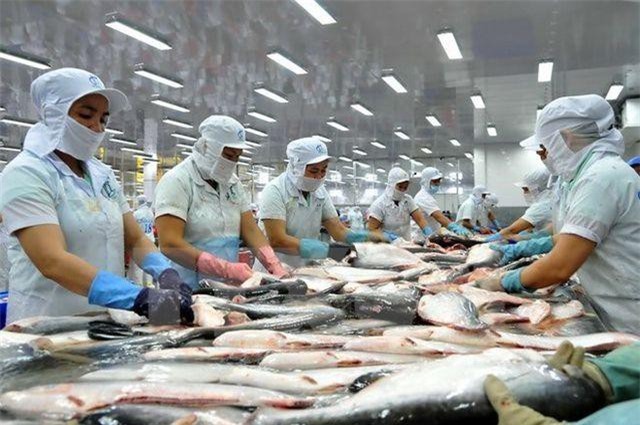 Cá tra Việt Nam “rộng cửa” tại Trung Quốc, sản phẩm lên “sàn” Alibaba