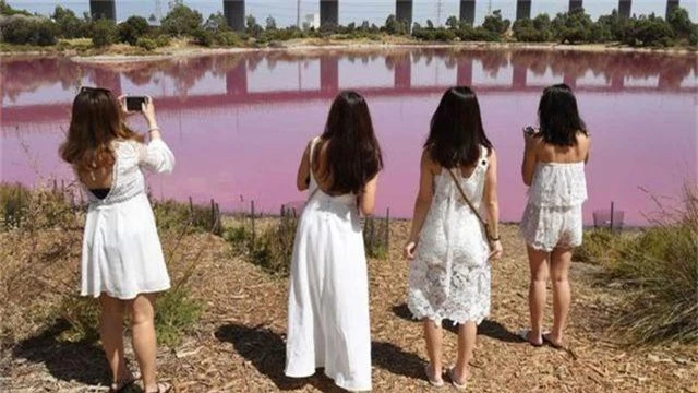 Hồ nước đột nhiên chuyển sang màu hồng kỳ lạ, bốc mùi hôi thối - 3