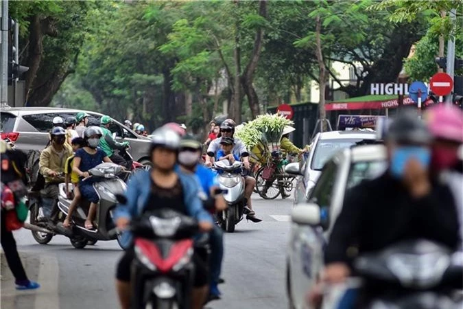 Tháng tư về, hoa loa kèn tinh khôi xuống phố Hà Nội - 10