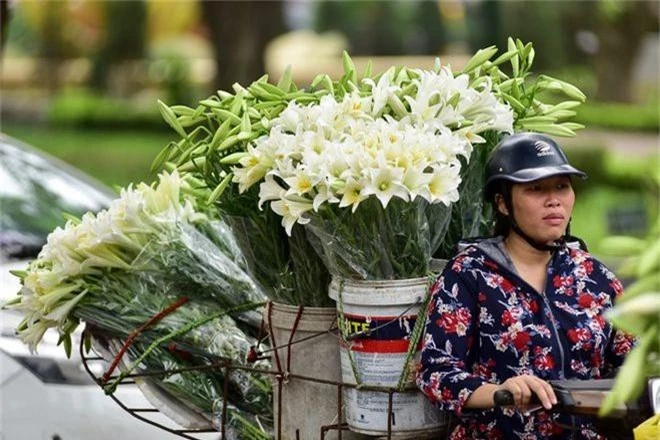 Tháng tư về, hoa loa kèn tinh khôi xuống phố Hà Nội - 5