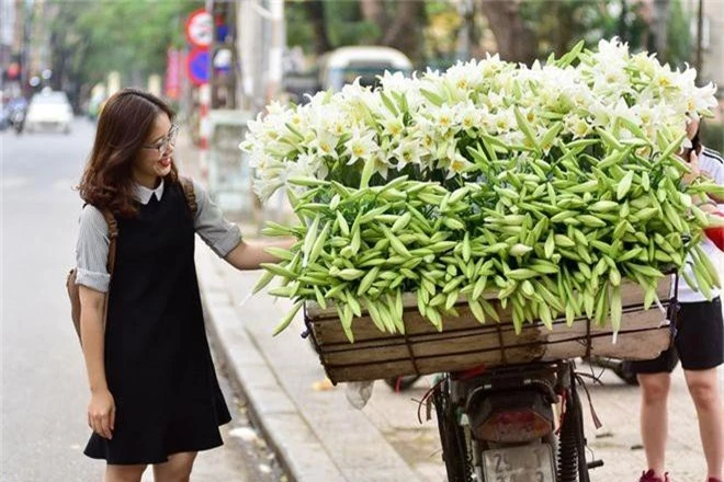 Tháng tư về, hoa loa kèn tinh khôi xuống phố Hà Nội - 7