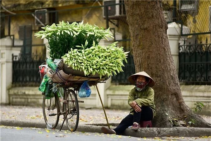 Tháng tư về, hoa loa kèn tinh khôi xuống phố Hà Nội - 8