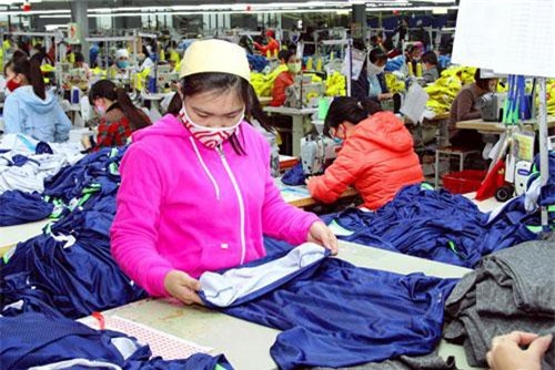 Nâng cao kiến thức trong hội nhập CPTPP