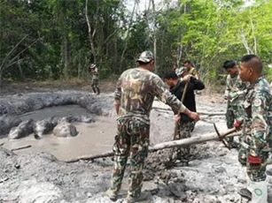 Giải cứu 6 chú voi con bị sa lầy trong nhiều ngày