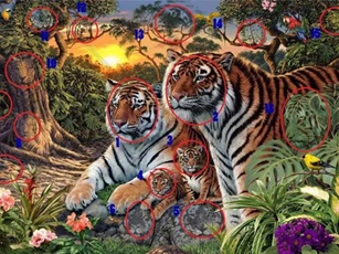 Đáp án bài toán: ‘Hoa mắt’ đi tìm lời giải cho câu đố này’