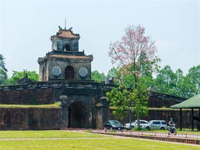 Hoa ngô đồng đẹp ngỡ ngàng trong Đại Nội Huế