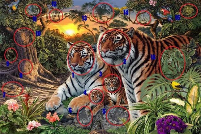 Đáp án: Có 16 con hổ.