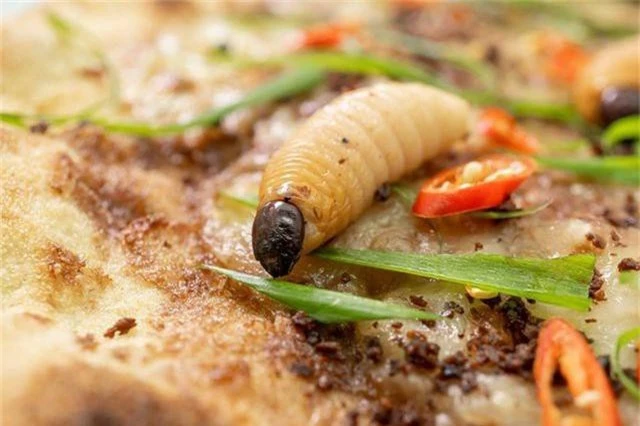 Sởn gai ốc với món pizza đuông dừa bò lổm ngổm tại Hà Nội - 2