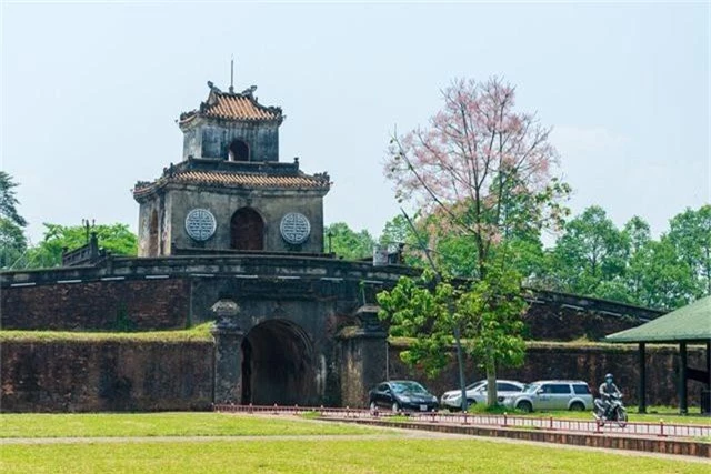 Hoa ngô đồng đẹp ngỡ ngàng trong Đại Nội Huế - 1