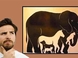 Bài toán tìm con vật ‘tưởng không khó mà khó không tưởng’