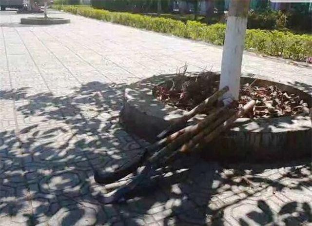 Lâm Đồng: Hai phóng viên bị “dằn mặt” khi đi mua hồ sơ dự thầu