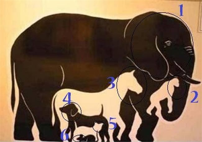 Đáp án bài toán tìm con vật ‘tưởng không khó mà khó không tưởng’