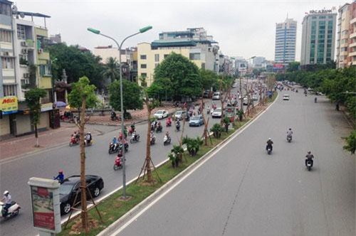 Hà Nội thay thế hàng trăm cây phượng mục ruỗng