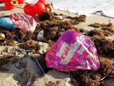 Những thói quen tưởng như vô hại lại góp phần hủy hoại môi trường