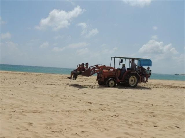 Bãi Tràng đang hút khách nhờ vẻ đẹp hoang sơ - 1