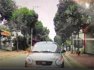 Clip: Nếu không nắm vững luật, đừng lái xe ra đường